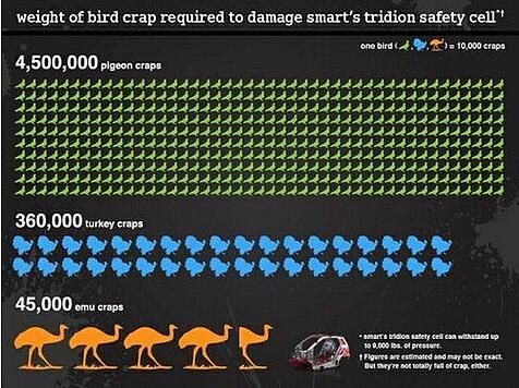 Smart Car Bird Crap