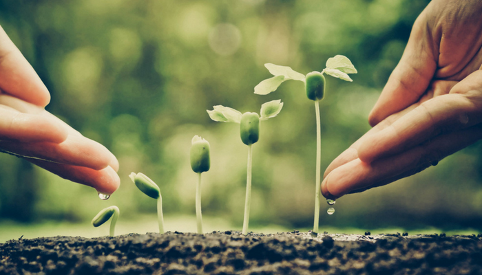 5 Signs You're Ready to Add Lead Nurturing to Your Marketing Strategy