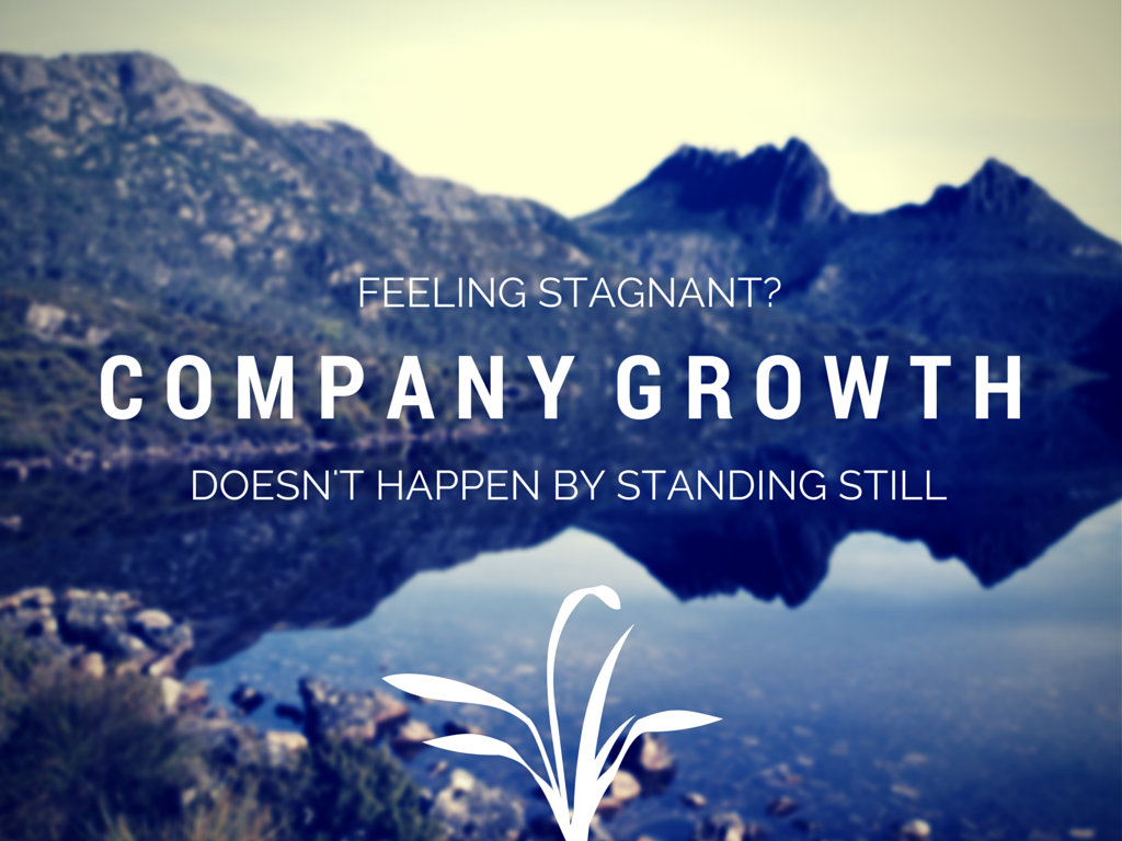 Don’t Stay Stagnant: 10 Methods to Grow Your Organization